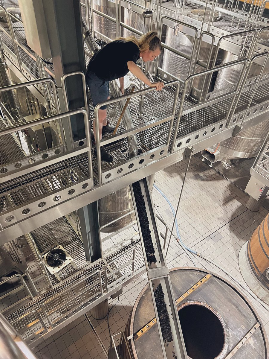 Tokara Wine & Olive Farm tweet media