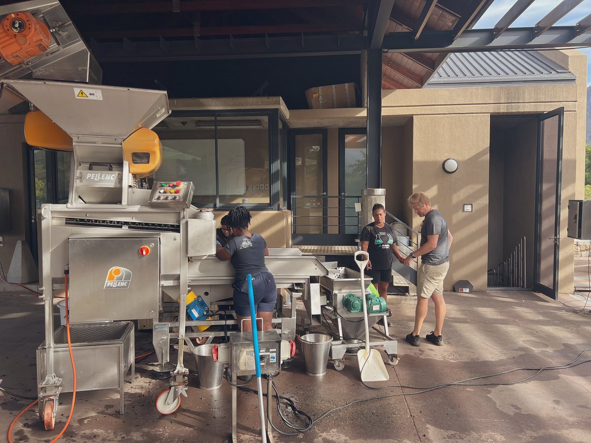 Tokara Wine & Olive Farm tweet media