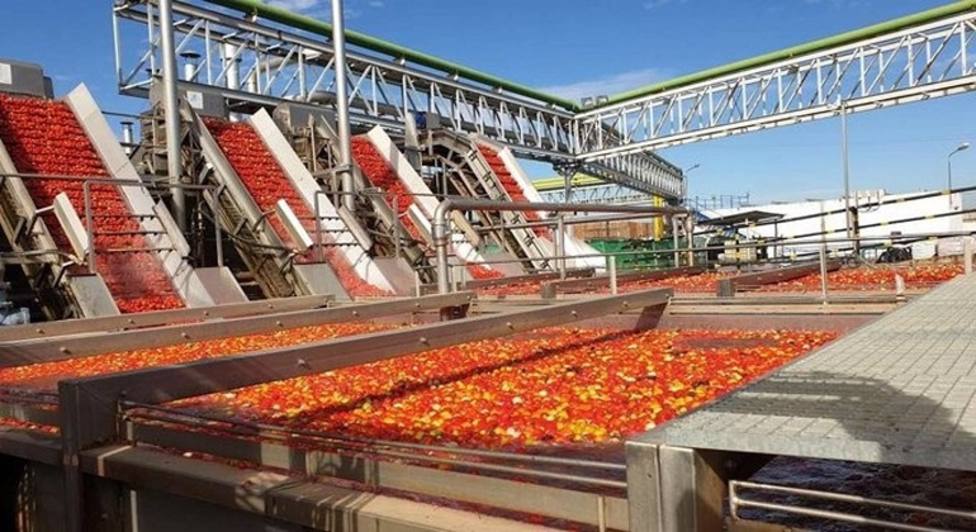 AntonioGraneroG's tweet photo. El sector del tomate extremeño reducirá un 40% su cultivo.
Las políticas europeas y la competencia desleal hace que el precio (130€ tonelada),sea inasumible.
El campo extremeño en manos de la especulación y el monopolio. https://t.co/MTuwa0qWl7