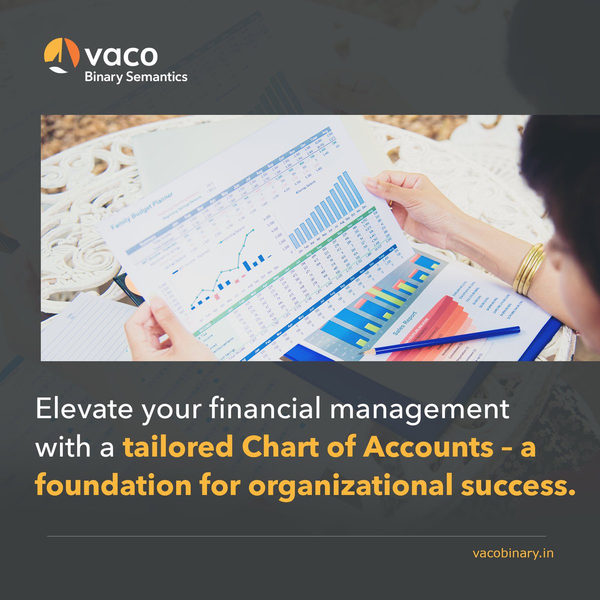 Chart of Accounts (COA) is a crucial #financialanalytics tool that provides valuable insights into various business areas. Businesses can gauge effectiveness and make informed decisions by categorizing revenue, liabilities, assets & expenditures.