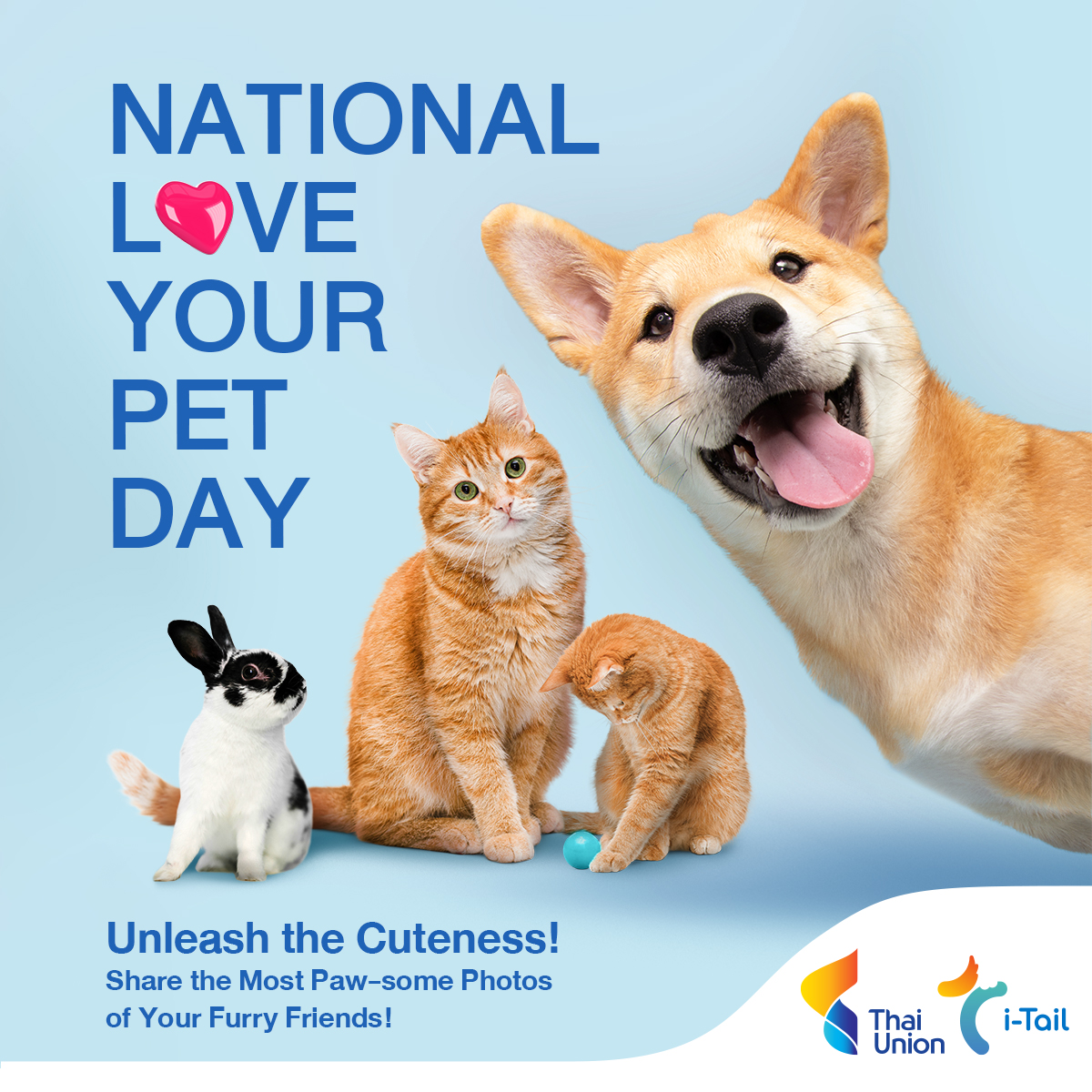 🐱🐶Today's the day we celebrate our furry ball like never before. it's National Love Your Pet Day. Let's take a moment to really appreciate the incredible bond we share with our pets. #ThaiUnion #HealthyLivingHealthyOceans #iTail #NationalLoveYourPetDay
