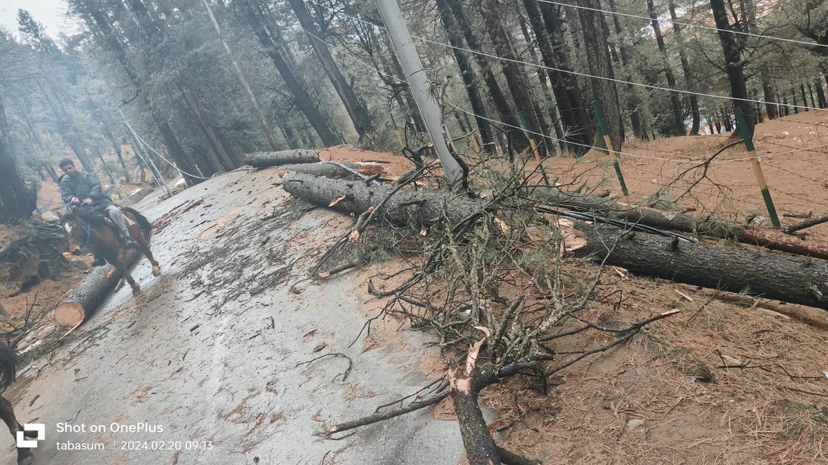 kpdcloffice's tweet photo. #SnowPowerUpdates
Huge pine tree has fallen on 11 kV cable line near Nunwan (S/D Aishmuqam), Pahalgam, disrupting supply. Restoration taken up: Er. Nazir A. Laway, Ex. Engineer, ED Bijbehara.
@diprjk @OfficeOfLGJandK @Raj576113 @mussarat_zia @DivComKash @DCAnantnag https://t.co/fFkb4J1pSk