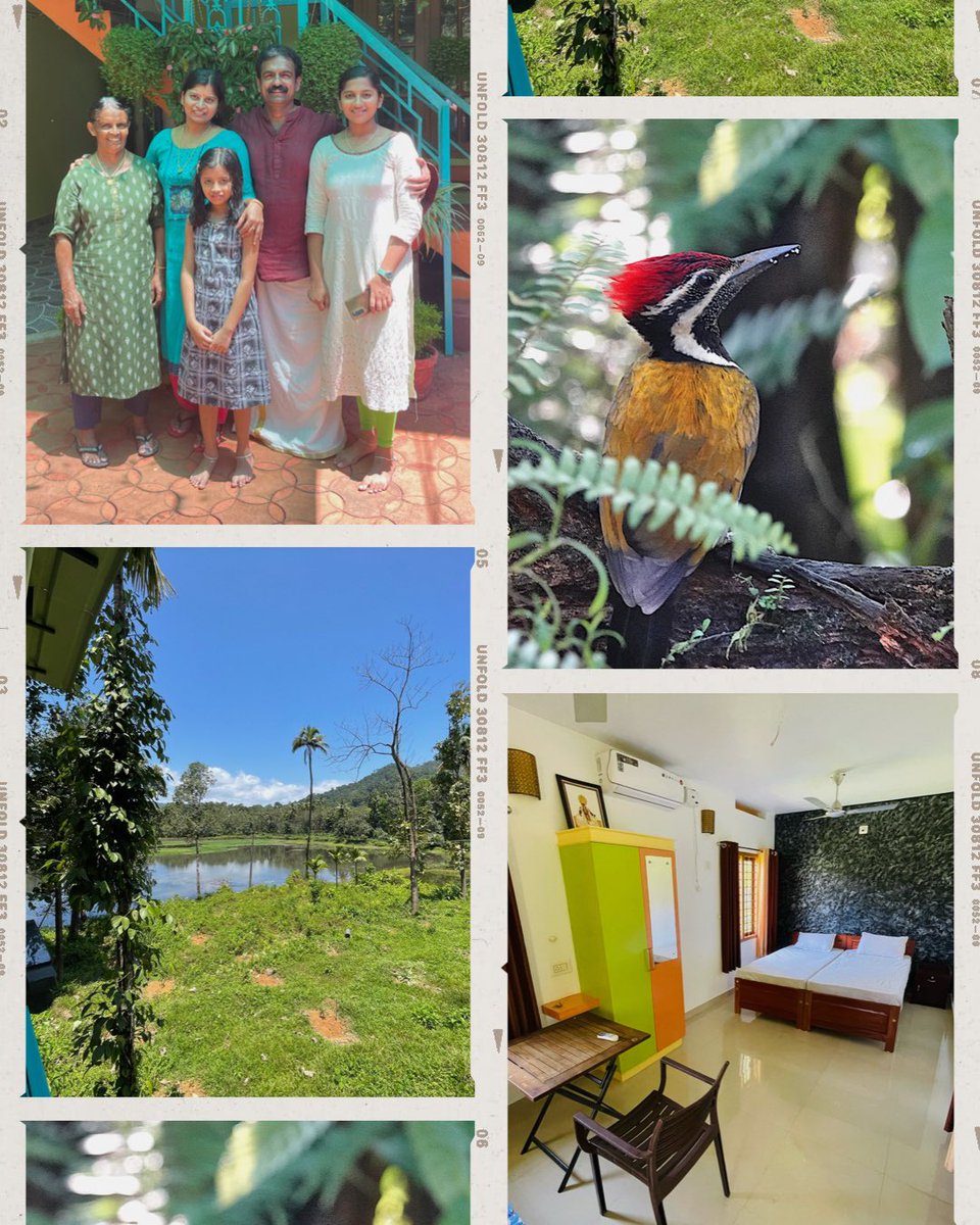 KeralaConnect's tweet photo. The Jungle Bird Homestay, Thattekkad. 
Room spartan, spacious and spotless; the bird guides Sudhama and Gireesh were world class, food wholesome, staff friendly and attentive; highly recommended for birdwatchers and naturalists. https://t.co/bztWD0fAAp