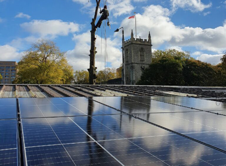 We're thrilled with the solar panelling installed 14 months ago. It helps to reduce our carbon footprint, using cheaper, cleaner energy. This helps us run the Farm more efficiently and sustains the Farm into the future. You can read more about it here ow.ly/Iwks50QBQ6V