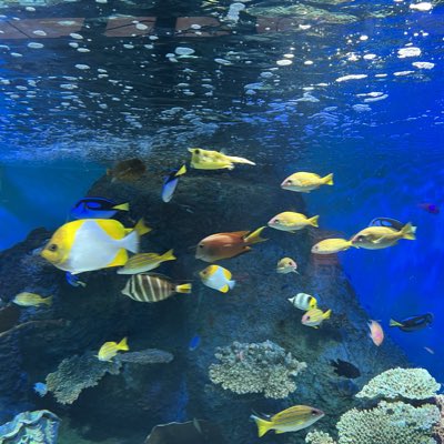 #新しいプロフィール画像