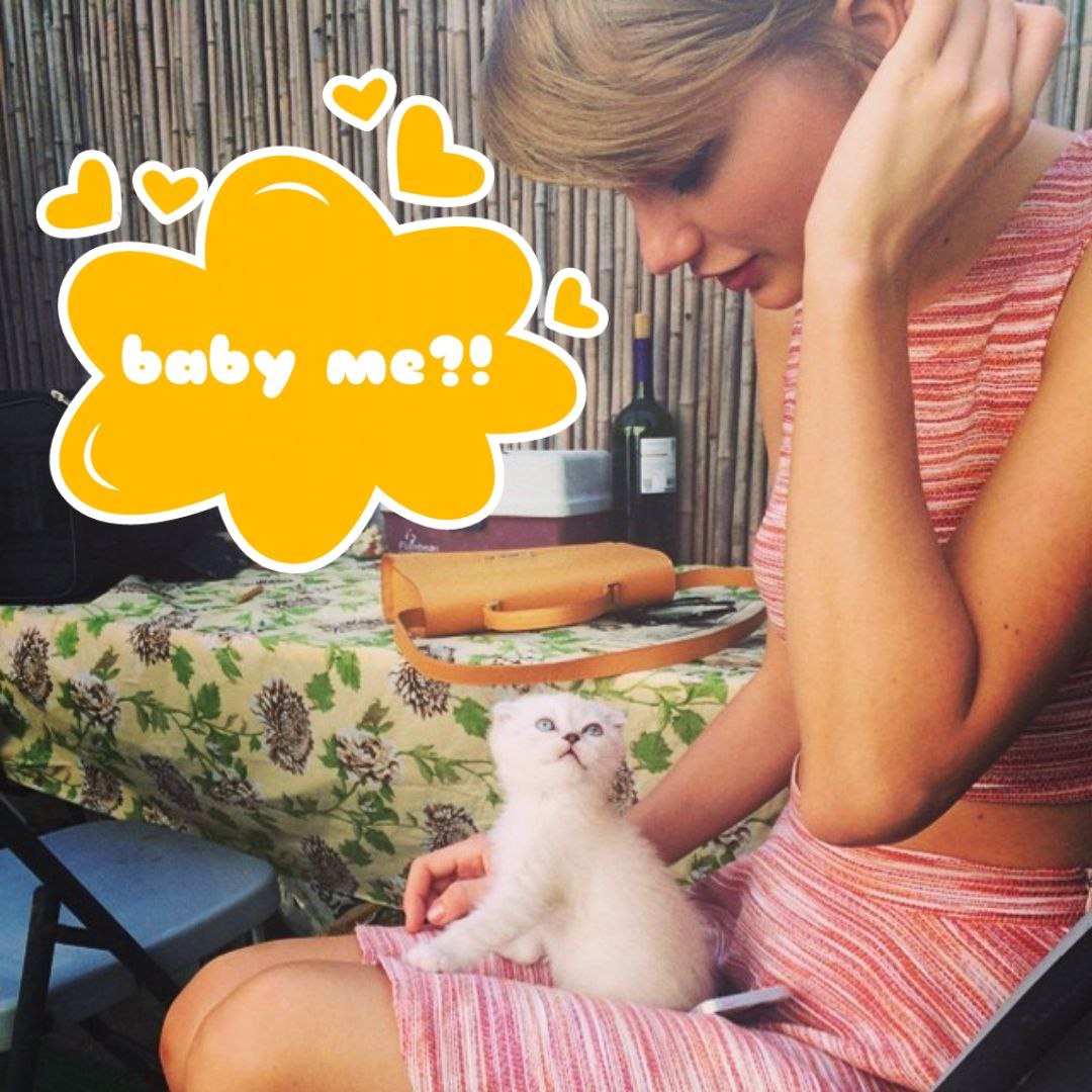 dibbles_ai's tweet photo. 9 years ago, Taylor Swift on Her New Cat!

"HEY, GUYS, IT's DIBBLES."

At @ellendegeneres's show.

#Dibbles $DIBBLE https://t.co/mB4z3p9W6O