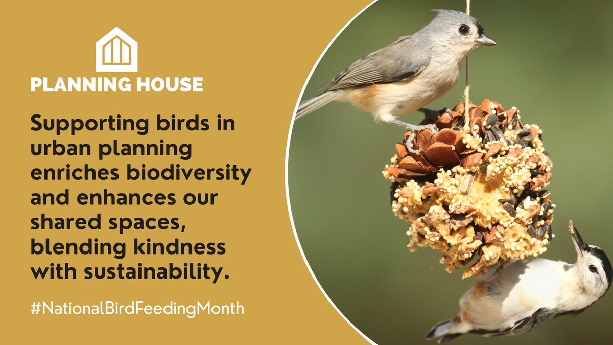 🌿🐦 As it is #NationalBirdFeedingMonth, we thought we would take a moment to appreciate the harmonious balance between urban development and nature's sanctity. Read more in the thread below 👇

#PlanningHouse #SustainableDevelopment #EcoFriendlyPlanning #PlanningConsultant