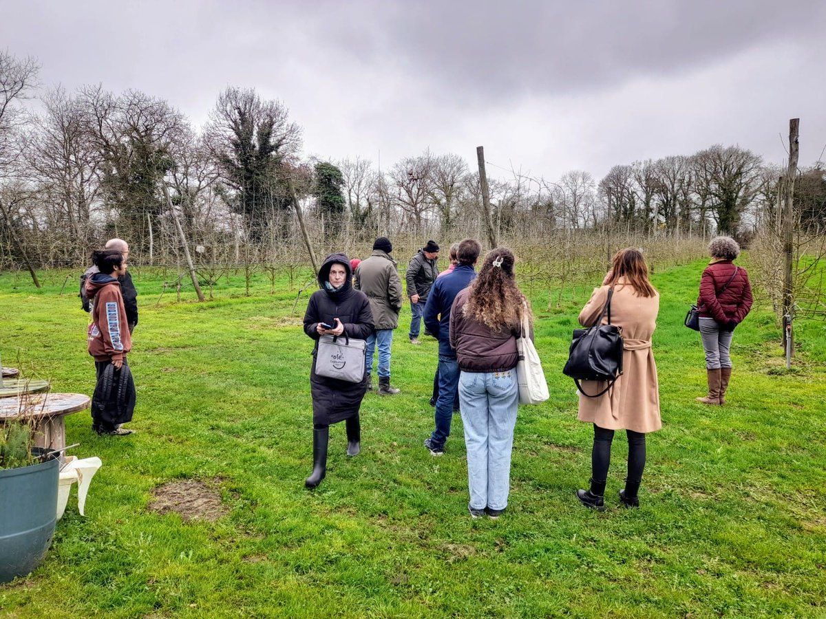 À l'occasion des Journées des métiers de l'#agriculture et du vivant, l'agence <a href="/FranceTravail/">France Travail</a> Guingamp a organisé une visite d'exploitation arboricole à Lanvollon (22) 🌳
👉 10 demandeurs d'#emploi étaient présents pour cet après-midi de découverte du métier d'agent arboricole