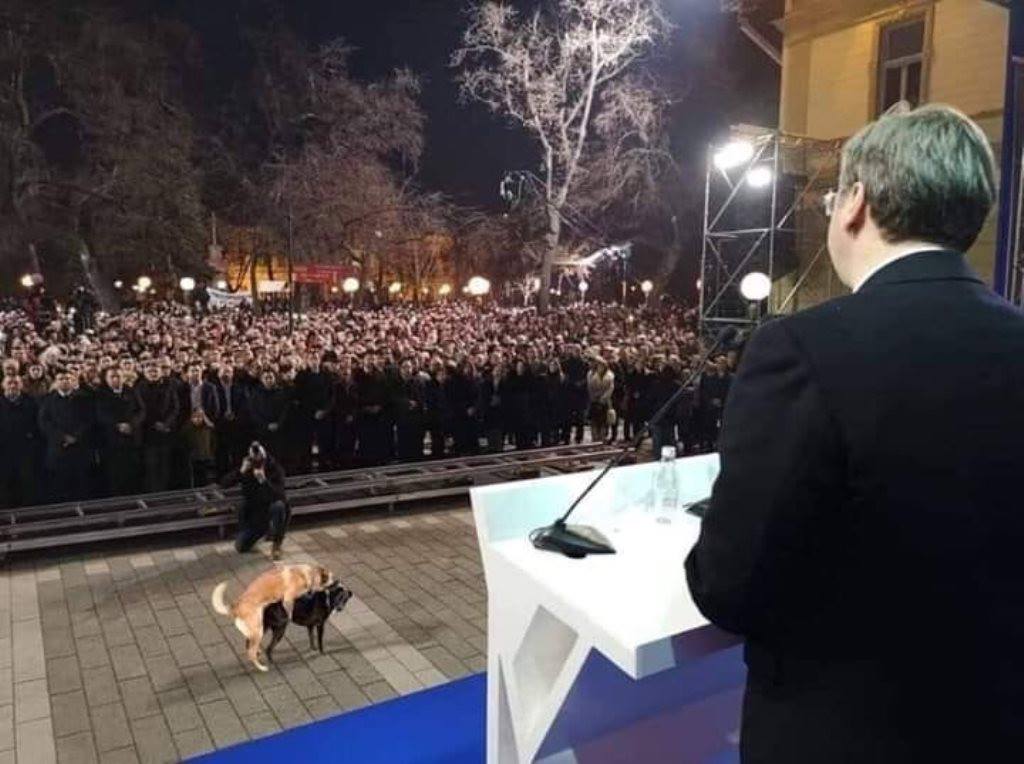 L'amor no té fronteres