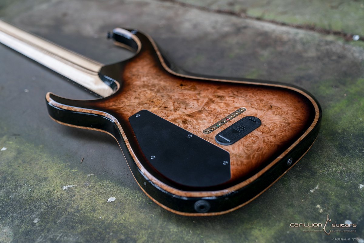 Midweek curves

Image Credit: @WillSatchwell 

#carillionguitars #carillion #luthier #shredguitar #metalguitar #guitar #guitarporn #handmade #metal