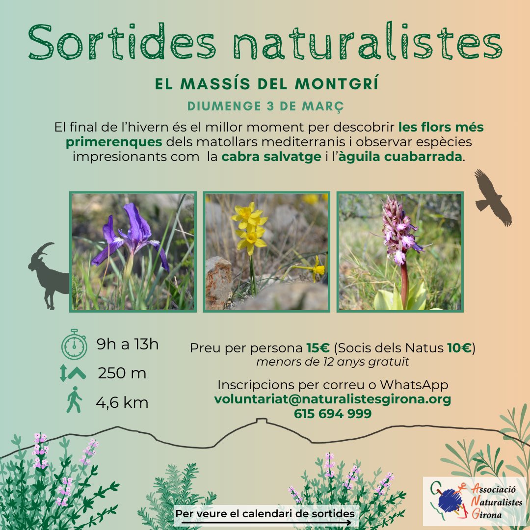 somnatus's tweet photo. Sorides naturalistes!🚶🏽🏞️

Comencarem el 3 de març amb una caminada al Montgrí per veure la floració més primerenca del matollar mediterrani, a més de la fauna que es deixi veure 🐐🌱🌷

Si no podeu venir hi haurà més sortides a altres llocs, no patiu! ⬇️

#sortidesnaturalistes https://t.co/iKWaD2BSQs