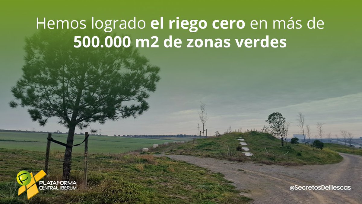 PCI_UrbanCM's tweet photo. 🌳 💧 Gracias a la creación de los humedales dentro de Plataforma Central Iberum, se ha permitido un gran ahorro de costes en el riego de zonas verdes en un espacio equivalente a 70 campos de fútbol. 

#PCI #PlataformaCentralIberum #Illescas #CastillaLaMancha #Logística https://t.co/mK5WRl7DJN