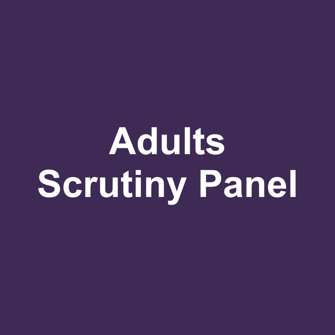 The next meeting of the council's Adults Scrutiny Panel will take place at 6pm today. You can see the agenda here: wolverhampton.moderngov.co.uk/ieListDocument… You will also be able to watch a livestream via the same link from 6pm.