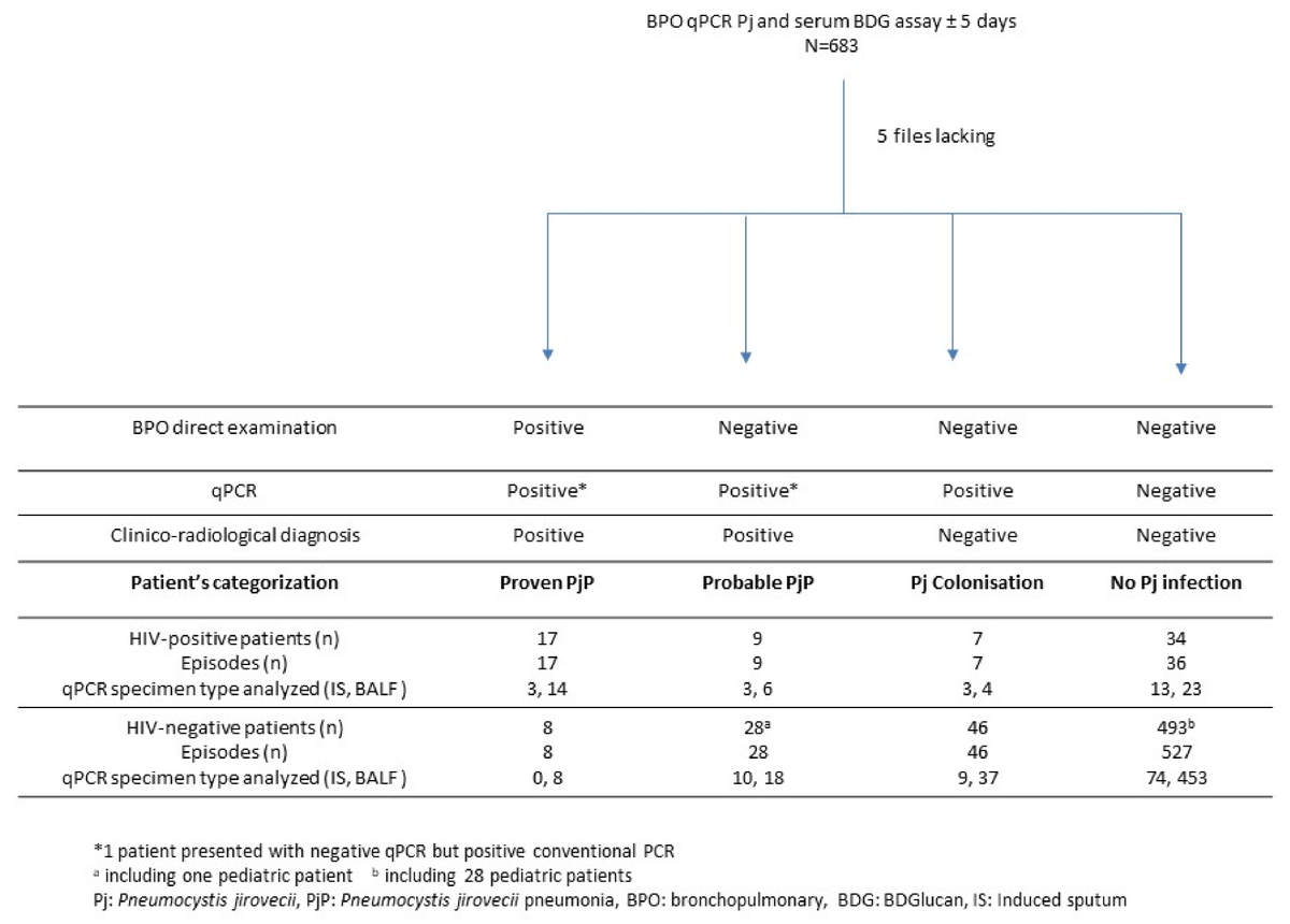 JoF_MDPI's tweet photo. 🧪📢📉 The aim of this study was to assess the value of a serum ß-d-Glucan assay for the diagnosis of #𝘗𝘯𝘦𝘶𝘮𝘰𝘤𝘺𝘴𝘵𝘪𝘴 #𝘫𝘪𝘳𝘰𝘷𝘦𝘤𝘪𝘪 #pneumonia in a large cohort of #HIV-negative and HIV-positive patients.
👉 https://t.co/H2K4MIh5Re https://t.co/14VKVLmu5w