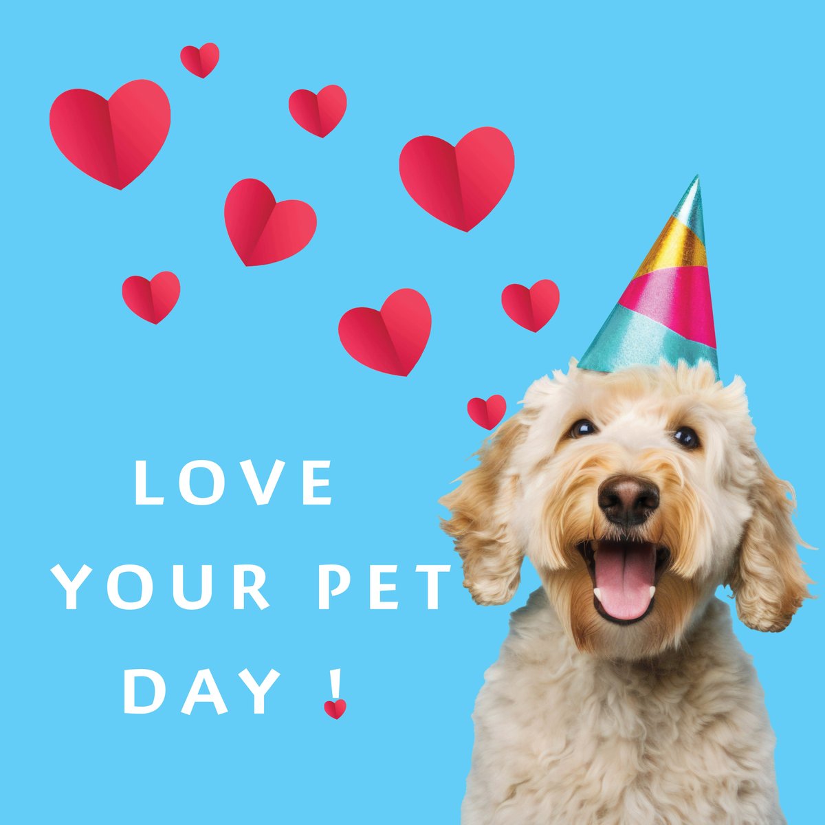 💕 Love Your Pet Day 💕 Show us your favourtie pets and tell us something unique about them! Our favourite one will win a mini sheep keyring 🐶🐩🐱🐎🐮🐄🐭🐀🐹🐇🐰🦔