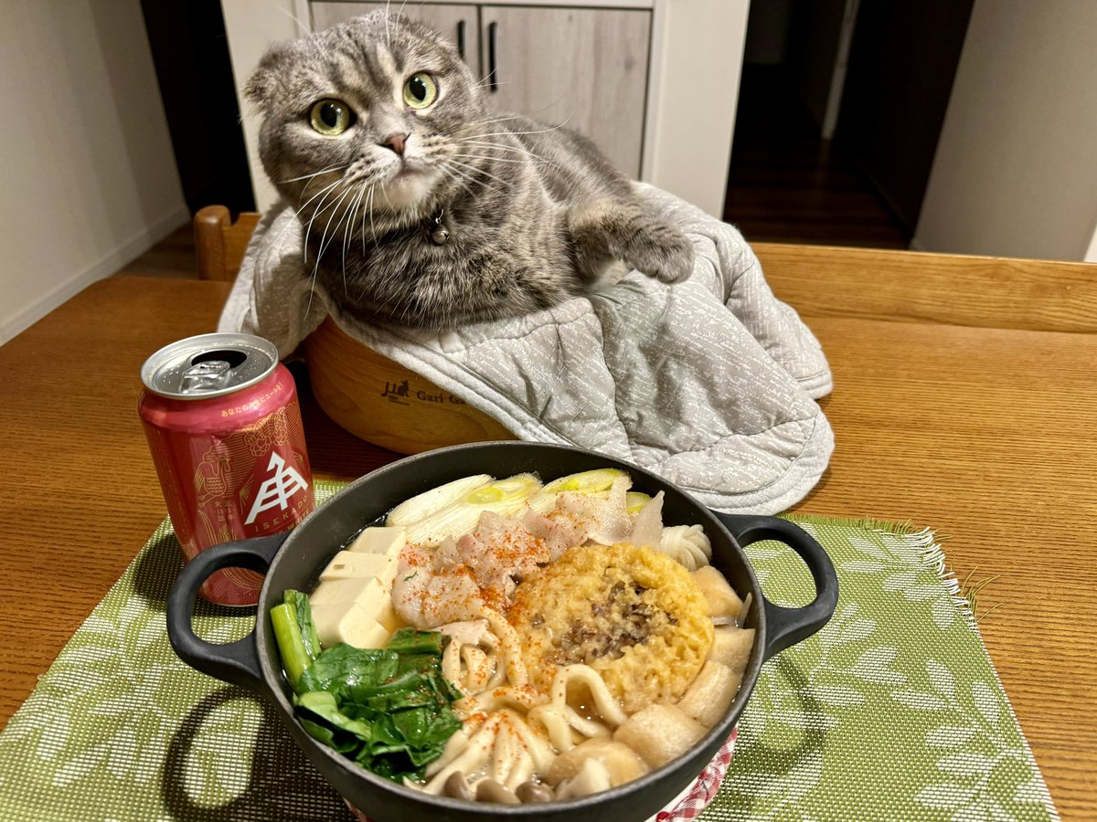 ndTu67XYaawnA2U's tweet photo. 鍋焼きうどんと猫達
Nabe-yaki udon & Cats
#猫 #スコティッシュフォールド #鍋焼きうどん #ヒメホワイト
#cat #scottishfold #nabeyakiudon #himewhite https://t.co/Ci4jA5wojO