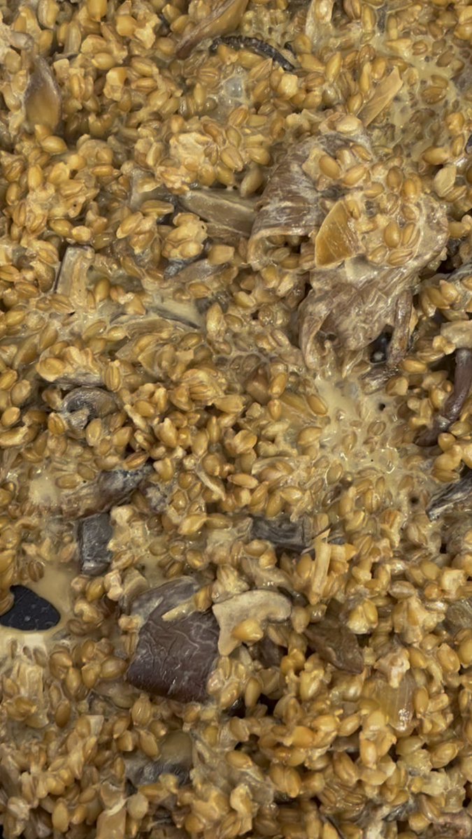 Gut-friendly mushroom spelt-otto ⚡️ Be kind to your gut and switch up your classic risotto for this fibre-packed dish. It's full of plant protein, antioxidents and can be made in one-pan. Full recipe via the link in bio👇
#risotto #recipe #guthealth #mushrooms #spelt