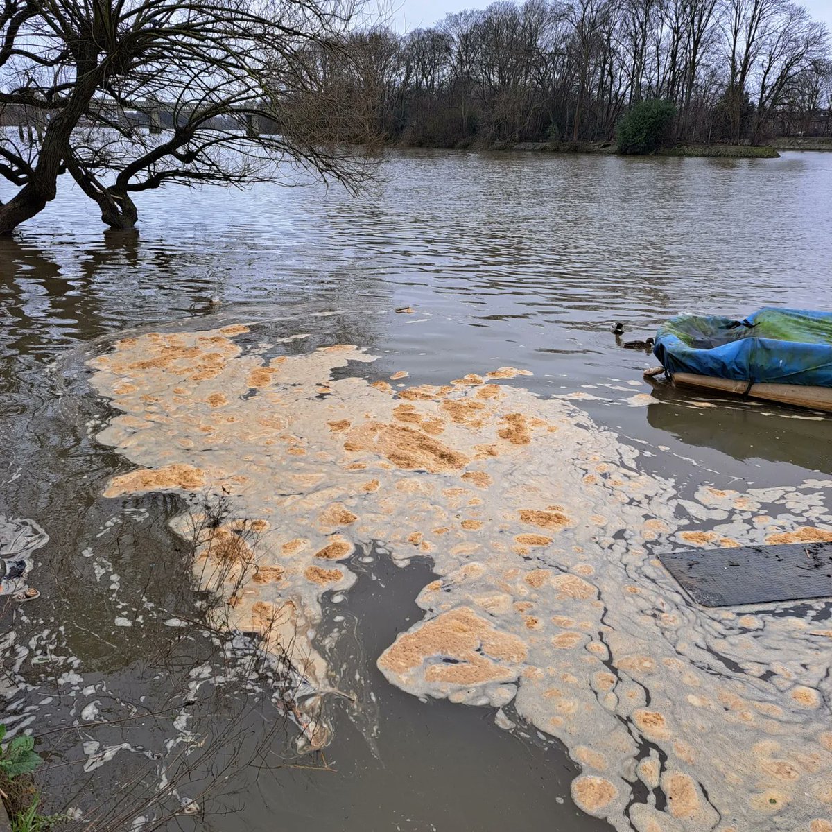 KeepLondonGreen's tweet photo. @joelycett @Channel4 @GaryLineker @DeborahMeaden @1phildaniels @marksilcox @jonsopel How do @thameswater get away with this? https://t.co/Nm9jF5tJ5G