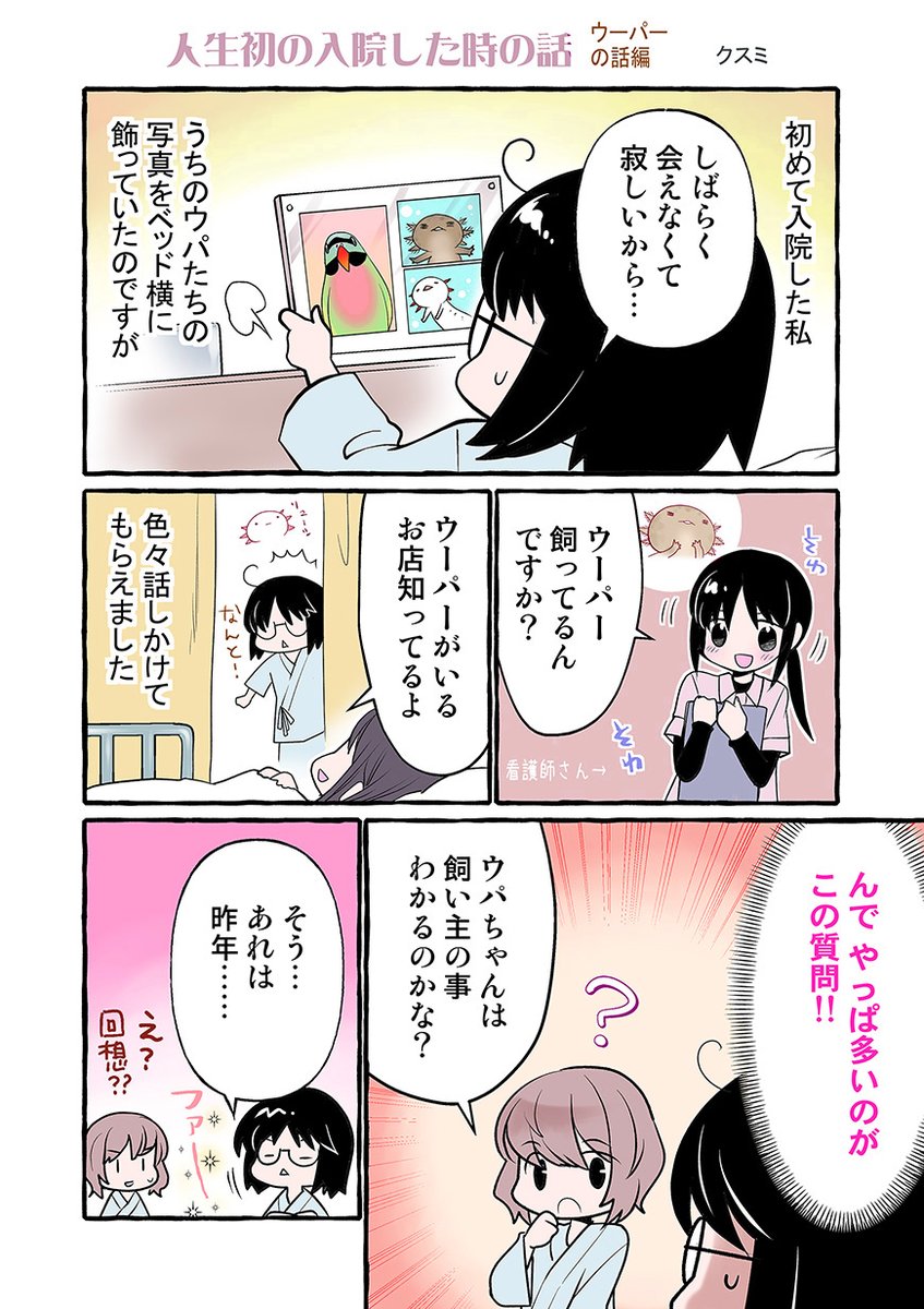 せっかくなので入院したときの事を漫画にしていこうかと…
今回は∋(・A・)∈の事 