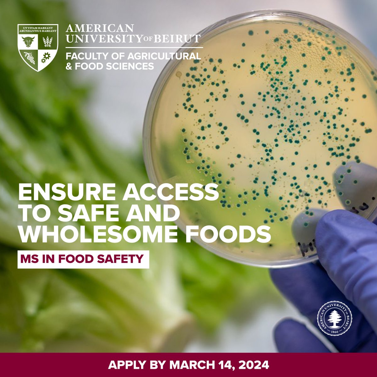 Impact the health & well-being of millions by preventing potentially deadly pathogens from contaminating our food supply. Apply to @AUB_Lebanon MS in Food Safety: aub.edu.lb/fafs/nfsc/Page…