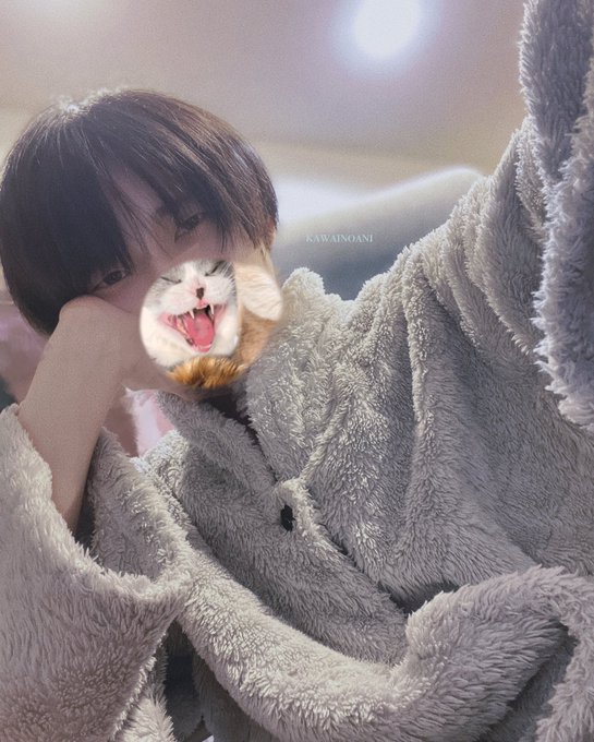 🐯 https://t.co/3PiyqlOyJK