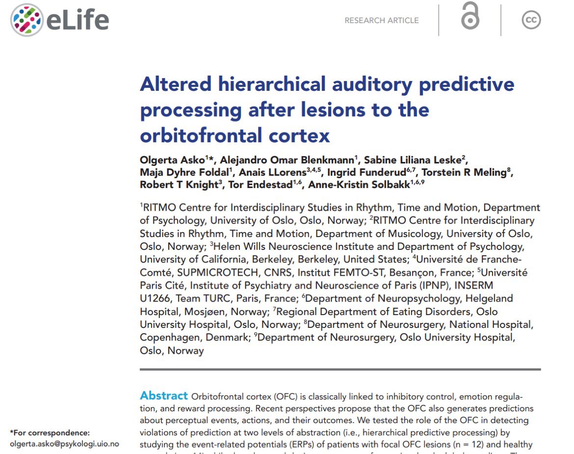 🚀New Publication! For the first time, our research implicates the Orbitofrontal cortex (OFC) in auditory prediction, published in @eLife. 🧠Explore the study: doi.org/10.7554/eLife.… #brain #research #eeg #neuroscience #elife