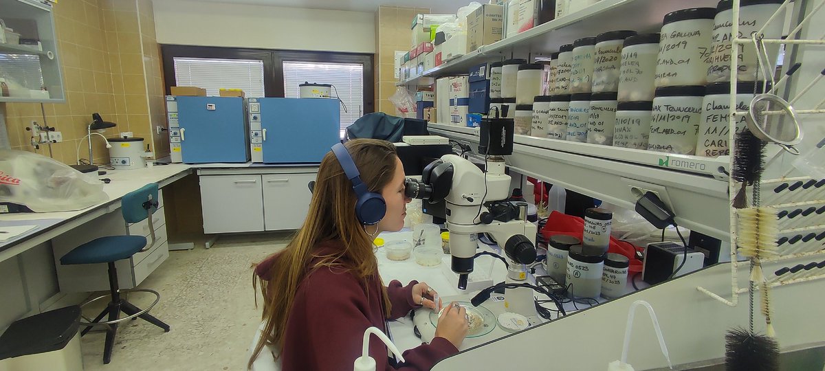 Muy contentos de incorporar al grupo a Olga Utrilla en el proyecto de <a href="/oapngob/">Parques Nacionales (OAPN)</a> para Islas Chafarinas y a Javier Valenzuela, para el estudio del ZEC Estrecho Oriental dentro del.proyecto #BIODIVERSIDAD

Estarán hasta el 2026 caracterizando los hábitats bentónicos de estos fondos🐚