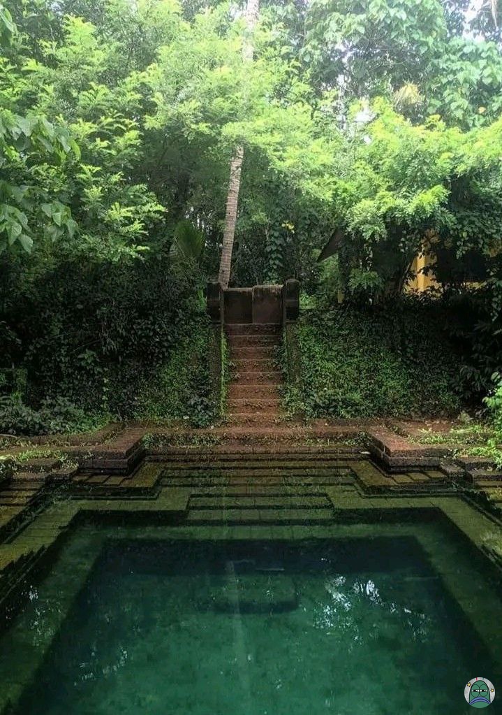 Tanyarlfes tweet media