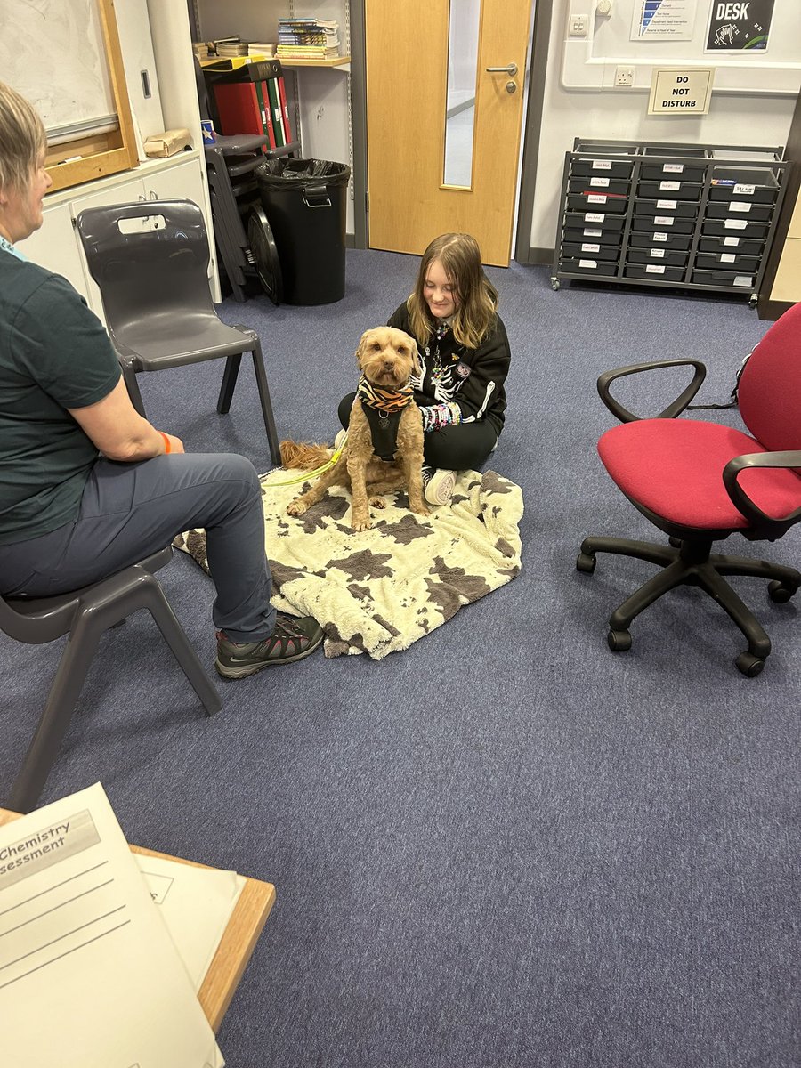 This morning DA welcomed Therapet Ford and his volunteer Sue to the school. A number of pupils enjoyed meeting Ford and he’ll now be visiting us regularly on a Wednesday. <a href="/Dumbarton_Acad/">Dumbarton Academy</a> <a href="/TherapetC/">@Therapet-CCST</a> #StrivingforExcellence <a href="/EmmaDonn2/">Mrs_Donn@DA</a>