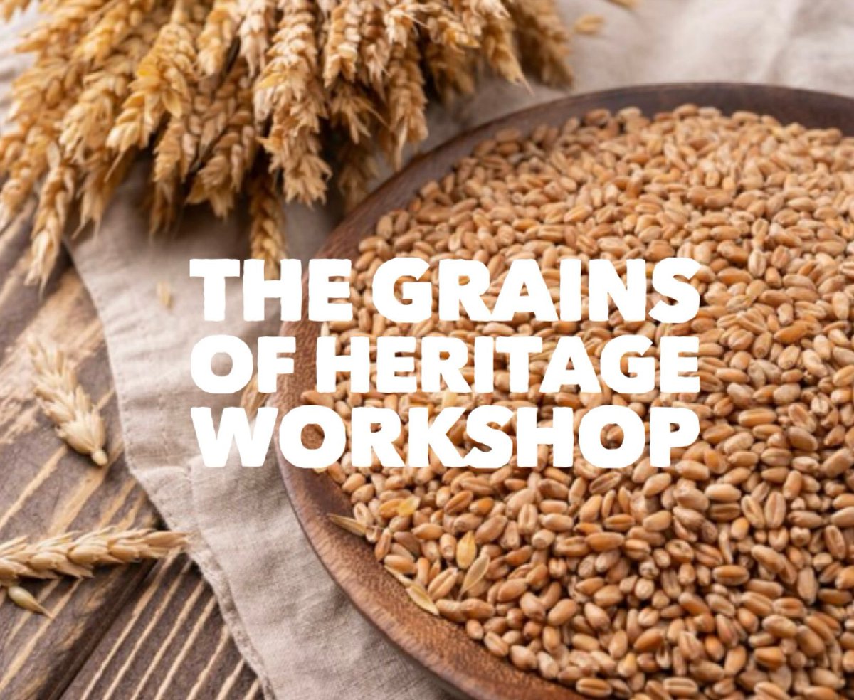 WORKSHOP// The grains of heritage. Journey along the path of flours that keep the biodiversity of cereals alive, under the guidance of Petra, daughter of a family of millers for 3 generations. Workshops are filled on a first-come, first-serve basis!   #ParabereForumRoma
