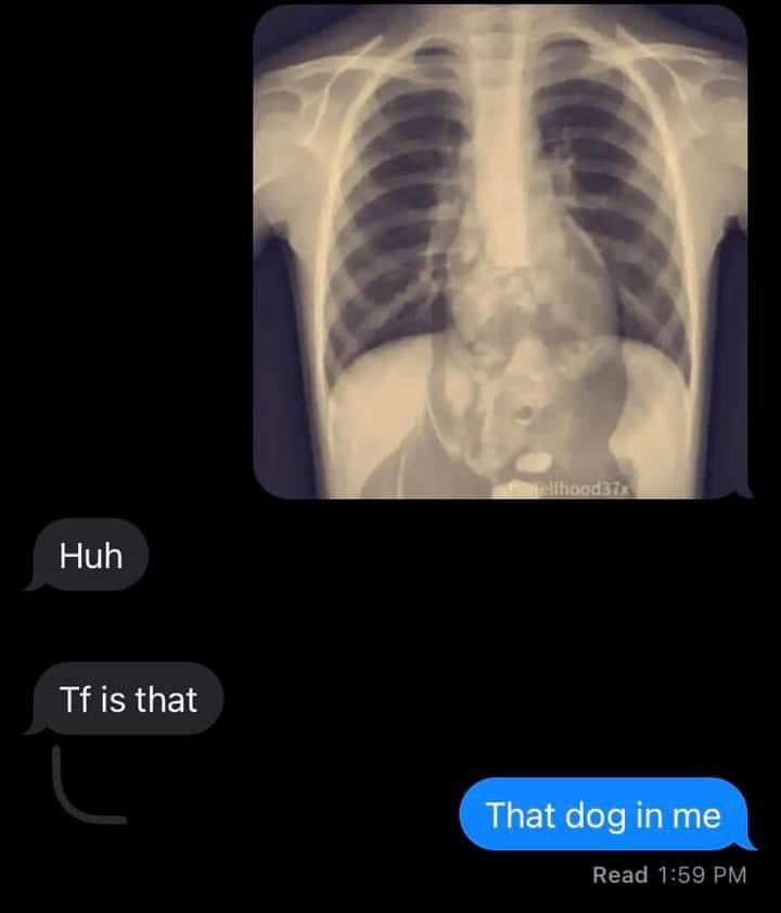 rambolaflare4x's tweet image. Bitch I’m a dog  🐶 Ruffff