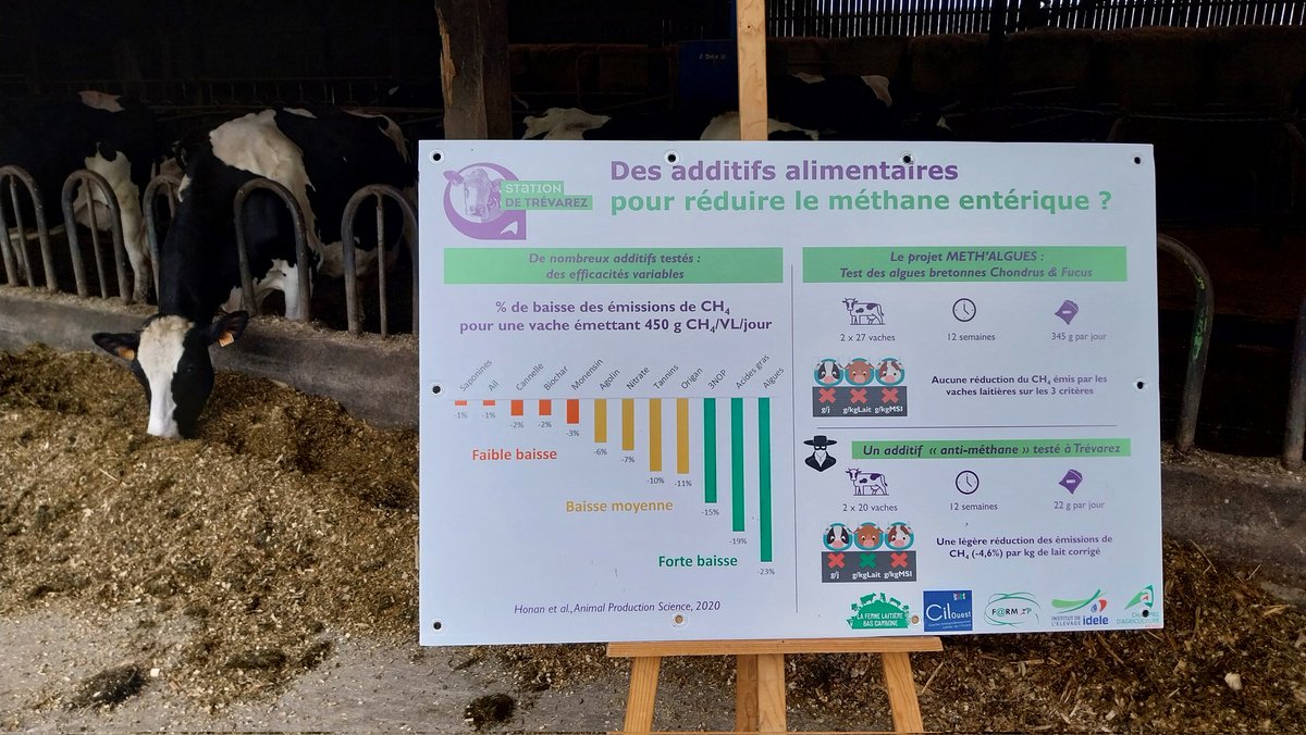 B_Rouille's tweet image. Existe-t-il des solutions alimentaires pour réduire le #méthane émis par les vaches laitières 🐄  ?

Oui ✅️ 

Les compléments alimentaires en font partie !

#MethAlgues