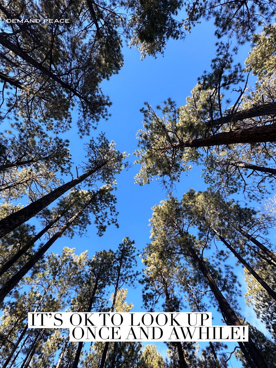demandpeacenow's tweet photo. Life's pace can be relentless, but don't forget to look up – there's a whole universe waiting to be explored. 🚀🌟

Let the sky be a sanctuary, a gentle reminder that there's more to life than meets the eye.🌿

#findpossibilities #embracethepresent #findpeace https://t.co/XiGCtUQLHx