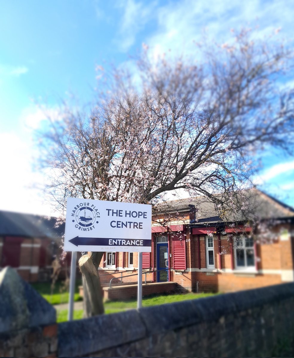 We're so happy the weather getting warmer 💛 The blossom is out on our tree 🌸 #warmerweather #blossom #supportharbourplace #homelessnessawareness