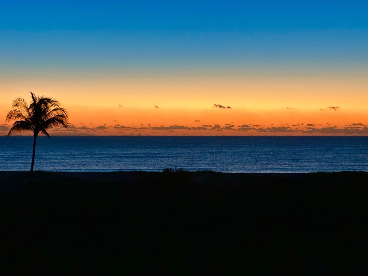 Kenny Polcari tweet media