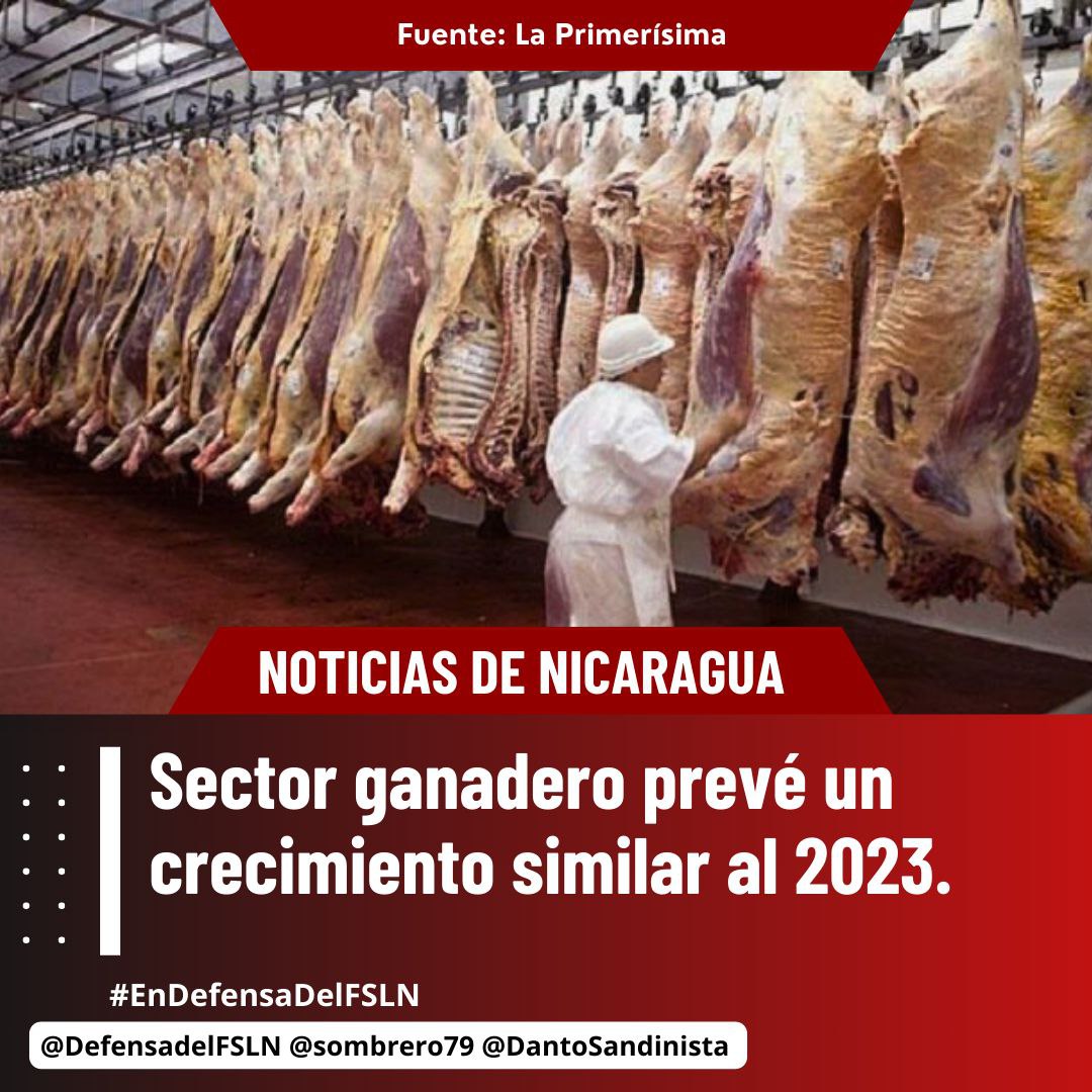 Tv+canal 31 sector ganadero tienen buenas expectativas para este 2024