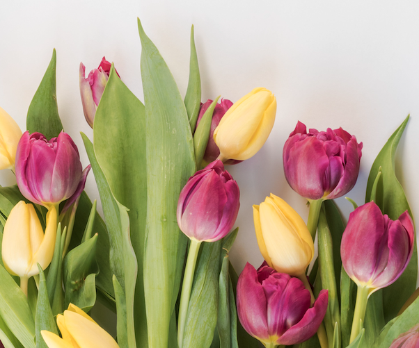 Intermundo1's tweet photo. 🌷 Frühling naht &amp; wir haben in Bern die Fasnacht gefeiert - ein Abschied von Wintergeistern &amp; ein Willkommen für den Frühling! 🎭 Eine Zeit für Gemeinschaft, Kreativität &amp; Traditionen. Empfangen wir die neue Saison mit offenen Armen! 🌸 #FrühlingNaht #FasnachtBern #Intermundo https://t.co/erWtoOknDH