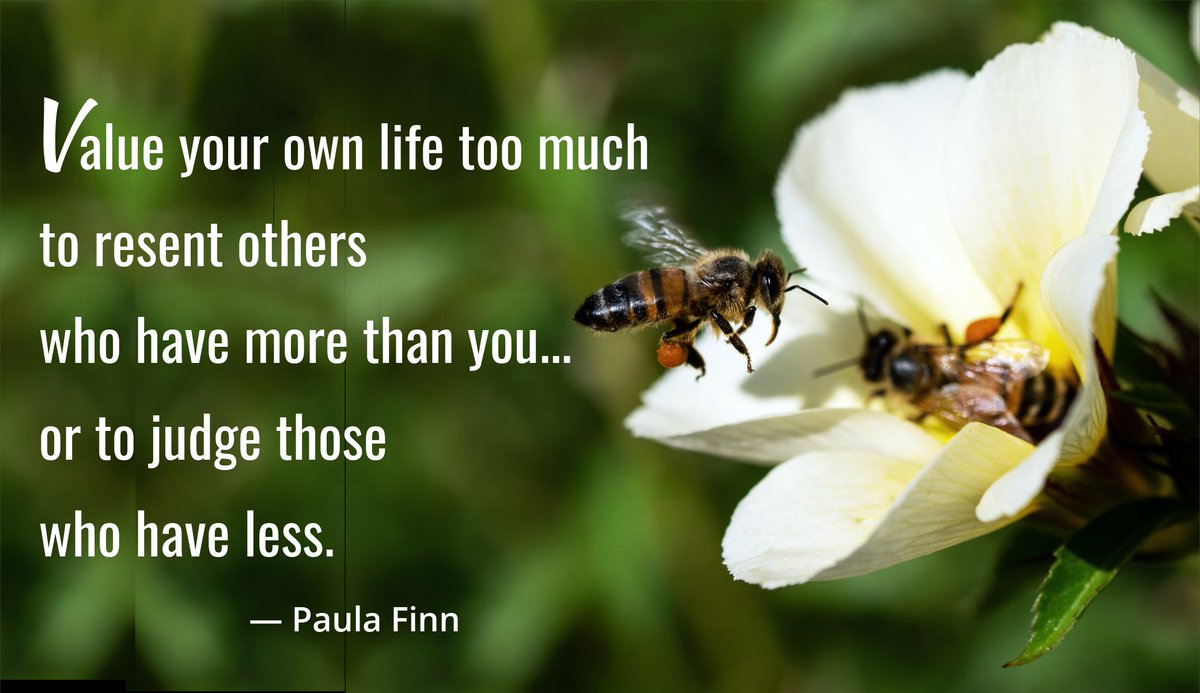 Value your own life too much to resent others who have more than you – or to judge those who have less. ~ Paula Finn