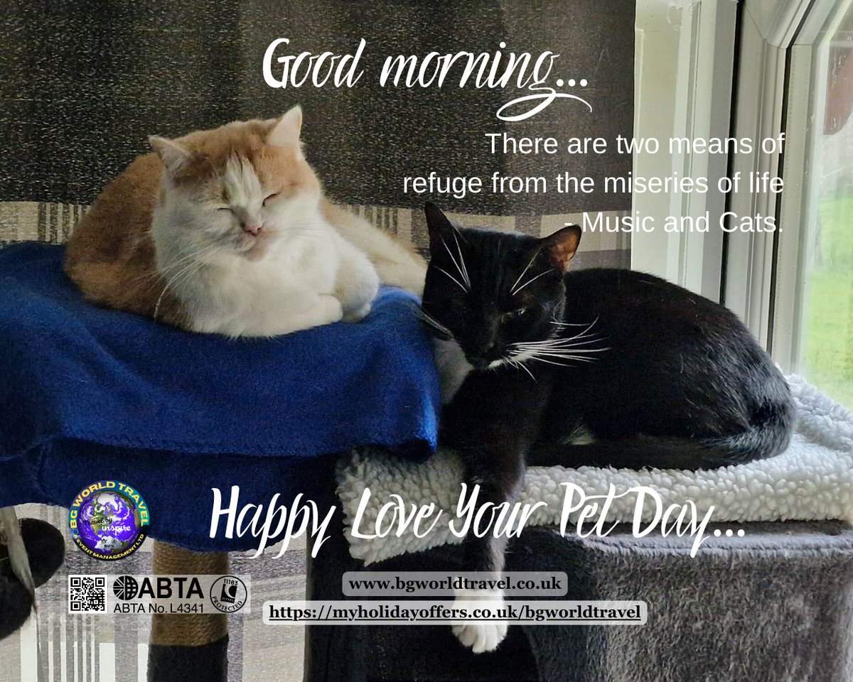 BGWTEM2024's tweet photo. Good morning,
#BGWorldTravel #travel #tuesday #tuesdaymorning #tuesdayblues #tuesdaypost #TuesdayQuote #tuesdayquotes #tuesdaytravel #loveyourpet #pets #petsmart #petsitter #petsoninstagram #petsofinsta #petsarefamily #petsoftheday #Petslovers #petslife #petsathome #petsdaily https://t.co/9iQfV5SCcP