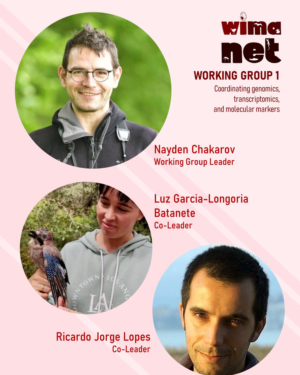 WIMANETscience's tweet photo. We start today's WG sessions with #WIMANET Working Group 1: 'Coordinating genomics, transcriptomics, and molecular markers'🧬

This group is led by @ChakarovNayden and has @Ricardo_J_Lopes and @luzglongoria  as co-leaders.

#WIMAROM24 https://t.co/jAveg5HEgV