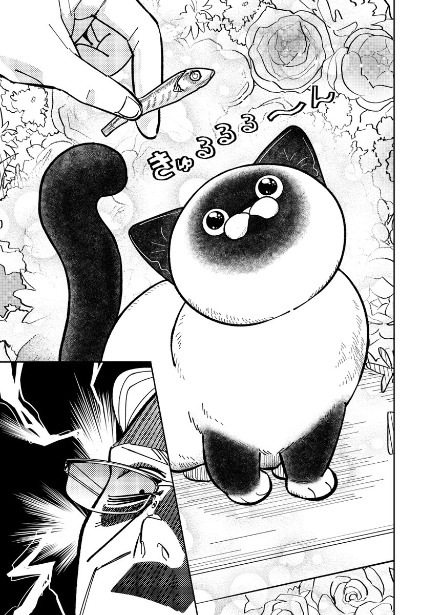 元極道が家によく来る野良猫の外の顔を知った話。

(2/4)

#漫画が読めるハッシュタグ 