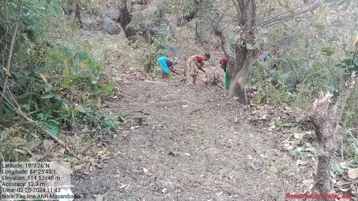 Fireline cutting works in progress in Berhampur Forest Division @ForestDeptt @pccfodisha @PCCFWL_Odisha @RBerhampur