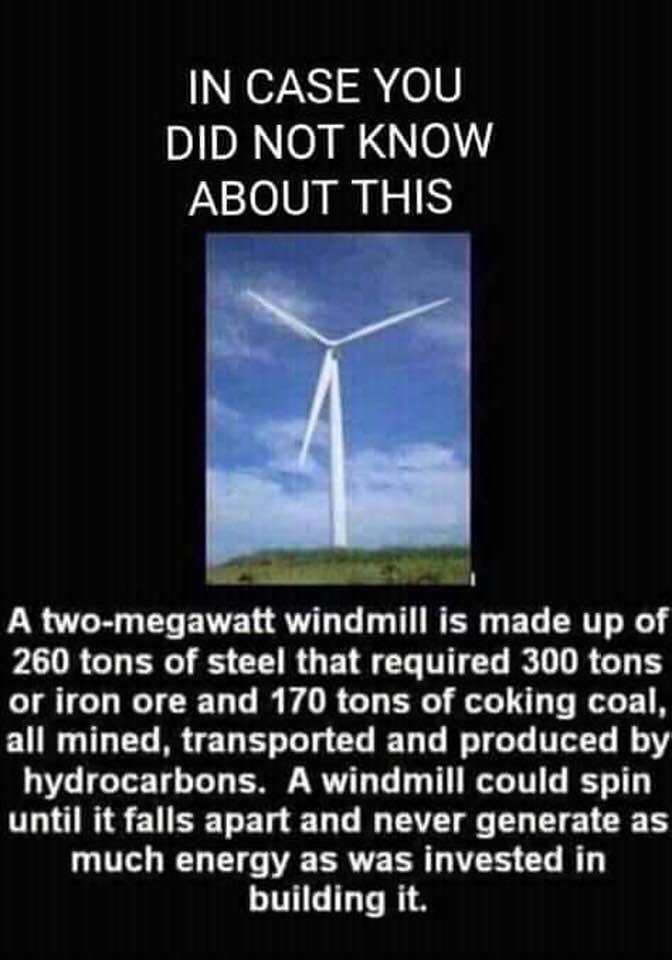 karlene1968's tweet photo. @Bowenchris What will those useless monstrosities to to the sea birds or to marine life?
#idiot #laborFAILURE https://t.co/swnt6QzXNe