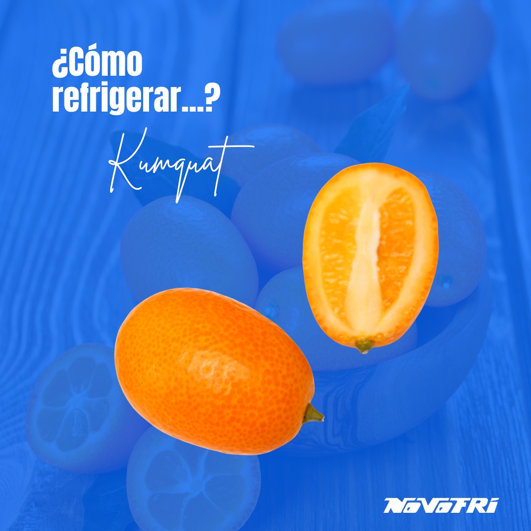 NovofriSL's tweet photo. 🌿 Descubre cómo mantener fresca esta nueva fruta llamada KUMQUAT 🍊✨ https://t.co/X0jE3s6lvT