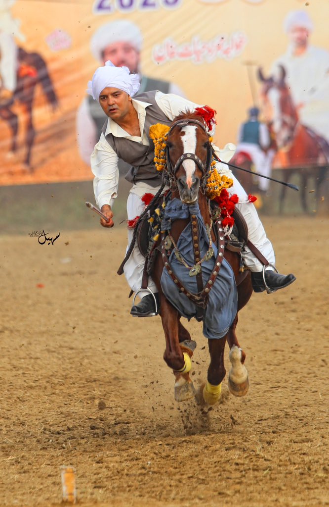 Hey X followers! My passion is tentpegging and horsemanship. 🏇 What's your favorite hobby? Reply and tell me all about your passions! 

#Hobbies #Passion #Tentpegging #Horsemanship #스물여섯_정우도_변함없이_애쩡해