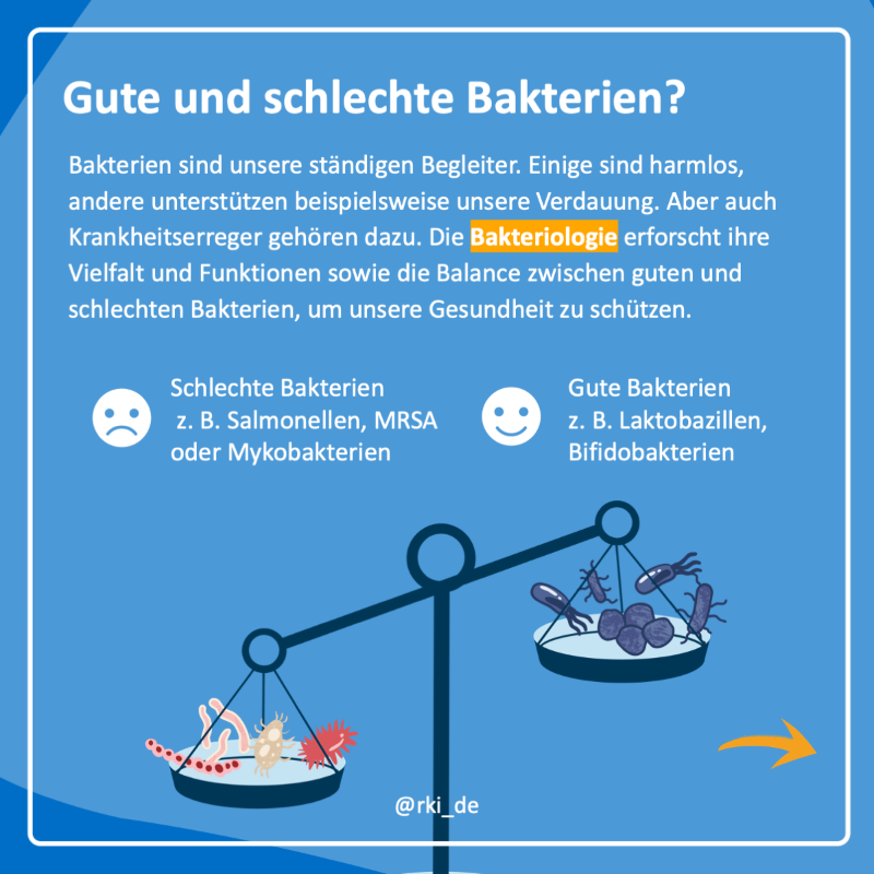 rki_de's tweet photo. 🦠Bakterien existieren überall in, auf und um uns herum. Sie beeinflussen unsere Gesundheit – vor allem zum Guten, doch sind sie auch für die Entstehung von Krankheiten verantwortlich.
In den nächsten Wochen widmen wir ihnen unser #wasisteigentlich. Heute zum Thema Bakteriologie.