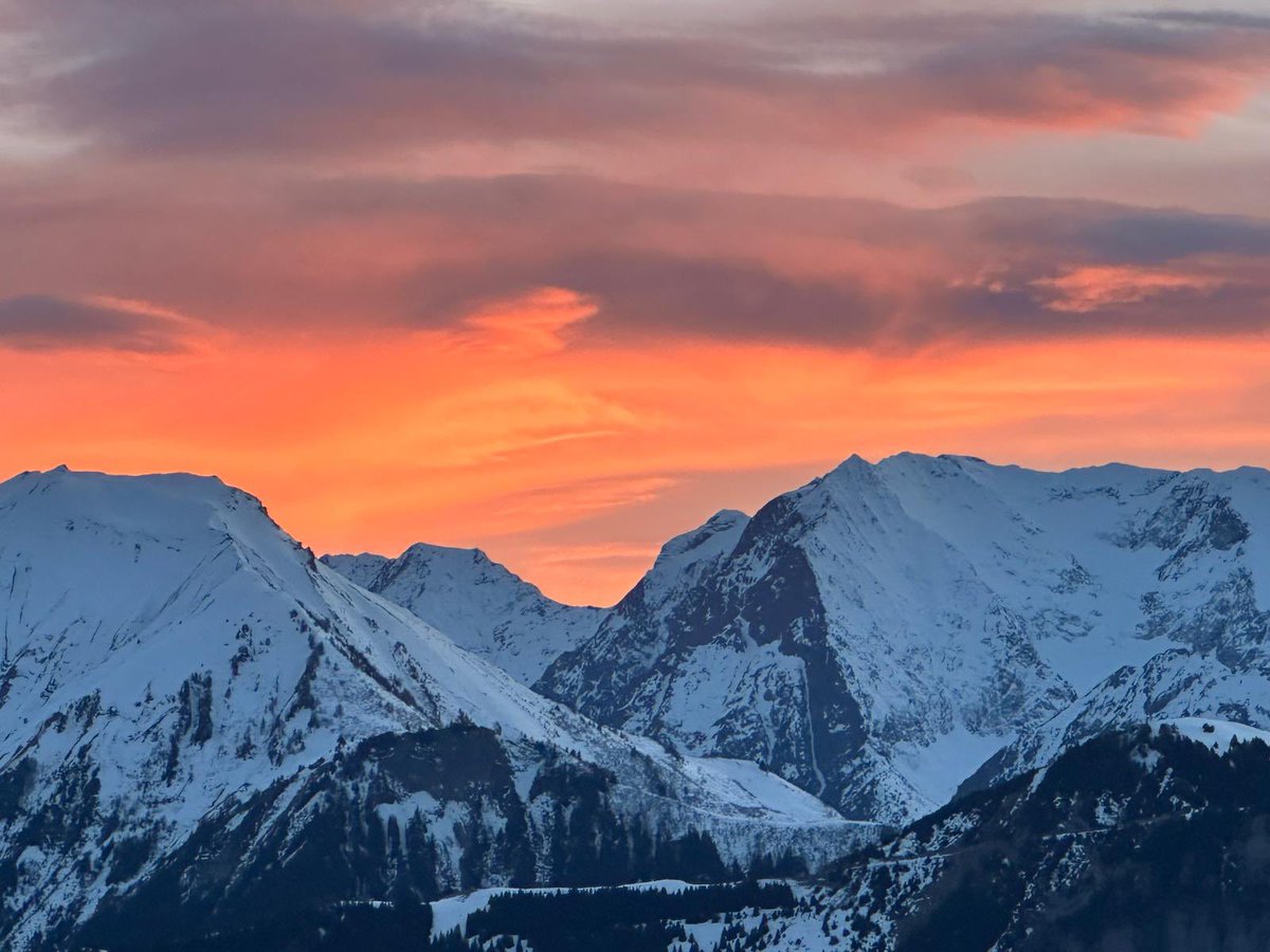 SandSkiTrip tweet media