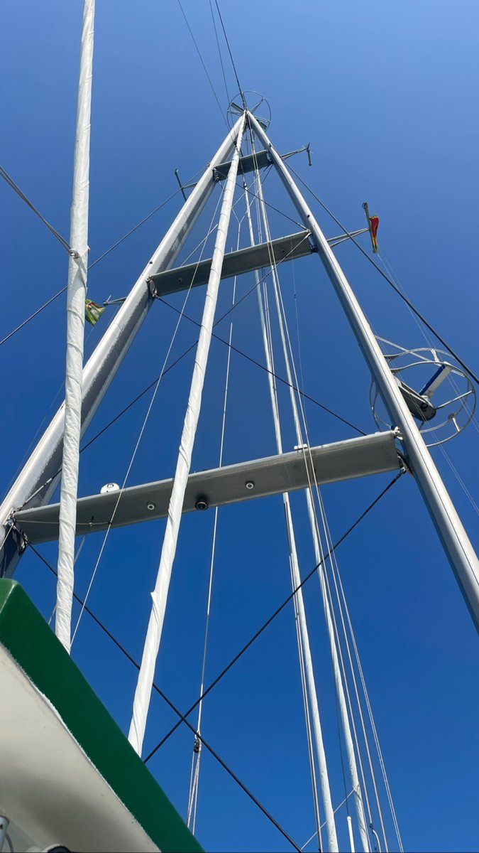 Dr. Asha de Vos tweet media