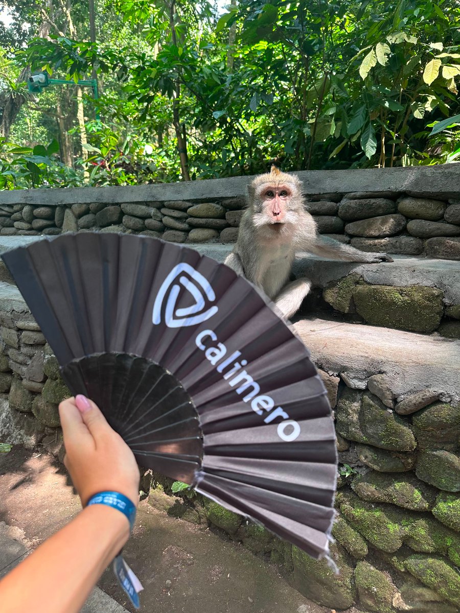 Calimero is looking for a new team member! 

If you're an experienced RUST developer and want to join our team, swing by our careers page and apply.