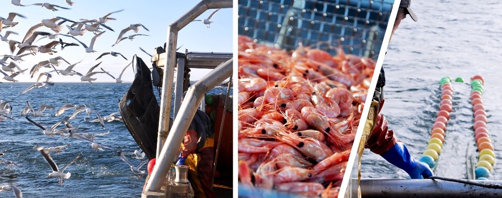 Missa inte den marina företagsmässan på Tjärnö marina laboratorium @goteborgsuni 1 mars! Temat är hållbart #fiske och #vattenbruk, med särskilt fokus på #Bohuslän. Sista anmälningsdag 23 februari! Program och anmälan: t.ly/NFtnp